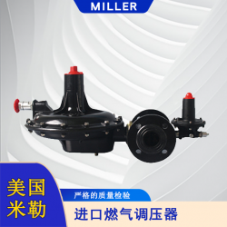進口燃氣調壓器