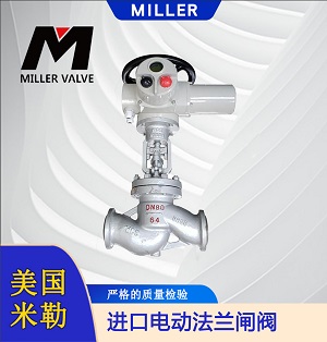 進口電動法蘭閘閥